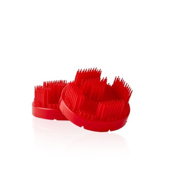 Denture brush